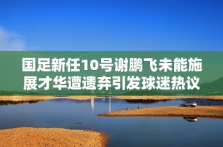 国足新任10号谢鹏飞未能施展才华遭遗弃引发球迷热议