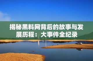 揭秘黑料网背后的故事与发展历程：大事件全纪录