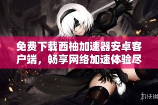 免费下载西柚加速器安卓客户端，畅享网络加速体验尽在7k7k7游戏网