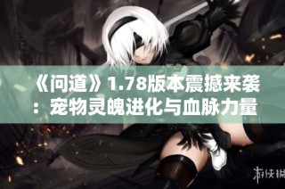 《问道》1.78版本震撼来袭：宠物灵魄进化与血脉力量觉醒的新篇章