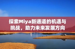 探索Miya新通道的机遇与挑战，助力未来发展方向