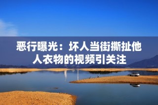 恶行曝光：坏人当街撕扯他人衣物的视频引关注