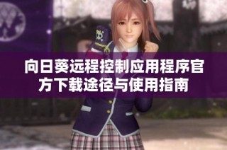 向日葵远程控制应用程序官方下载途径与使用指南