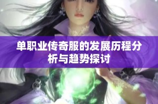 单职业传奇服的发展历程分析与趋势探讨