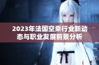 2023年法国空乘行业新动态与职业发展前景分析