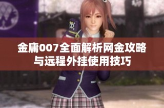 金庸007全面解析网金攻略与远程外挂使用技巧