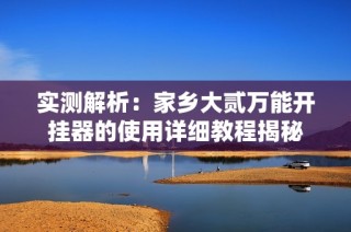 实测解析：家乡大贰万能开挂器的使用详细教程揭秘
