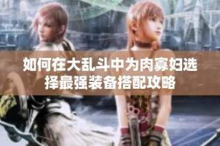 如何在大乱斗中为肉寡妇选择最强装备搭配攻略