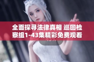 全面探寻法律真相 巡回检察组1-43集精彩免费观看