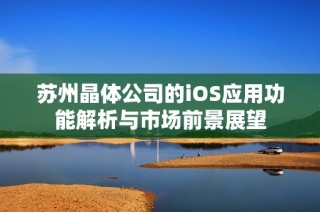 苏州晶体公司的iOS应用功能解析与市场前景展望