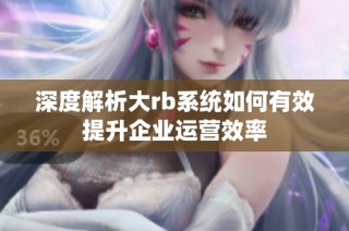 深度解析大rb系统如何有效提升企业运营效率