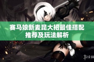 赛马娘新麦昆大招最佳搭配推荐及玩法解析