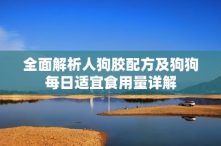 全面解析人狗胶配方及狗狗每日适宜食用量详解
