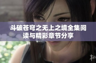 斗破苍穹之无上之境全集阅读与精彩章节分享