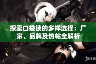探索口袋锁的多样选择：厂家、品牌及热帖全解析