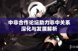 中非合作论坛助力非中关系深化与发展解析
