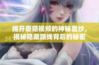 揭开蘑菇视频的神秘面纱，揭秘隐藏路线背后的秘密