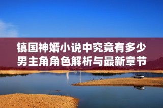 镇国神婿小说中究竟有多少男主角角色解析与最新章节更新