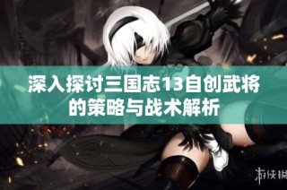 深入探讨三国志13自创武将的策略与战术解析