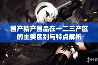 国产精产国品在一二三产区的主要区别与特点解析