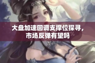 大盘加速回调支撑位探寻，市场反弹有望吗