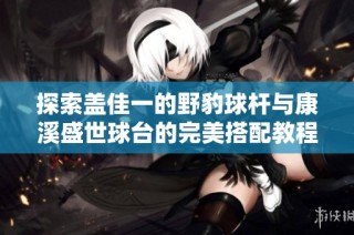 探索盖佳一的野豹球杆与康溪盛世球台的完美搭配教程