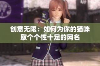 创意无限：如何为你的猫咪取个个性十足的网名