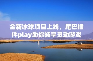 全新冰球项目上线，尾巴插件play助你畅享灵动游戏体验