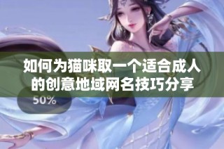 如何为猫咪取一个适合成人的创意地域网名技巧分享