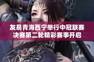 友易青海西宁举行中冠联赛决赛第二轮精彩赛事开启