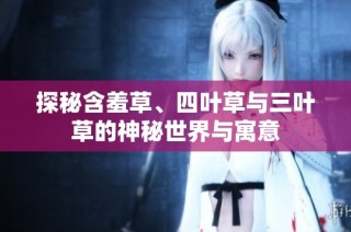 探秘含羞草、四叶草与三叶草的神秘世界与寓意