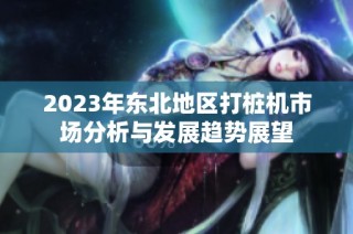 2023年东北地区打桩机市场分析与发展趋势展望