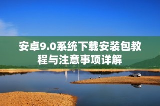 安卓9.0系统下载安装包教程与注意事项详解