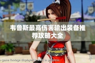 韦鲁斯最高伤害输出装备推荐攻略大全