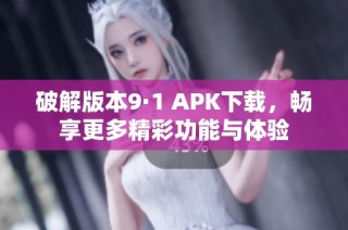 破解版本9·1 APK下载，畅享更多精彩功能与体验