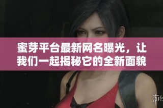 蜜芽平台最新网名曝光，让我们一起揭秘它的全新面貌