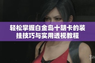轻松掌握白金岛十胡卡的装挂技巧与实用透视教程