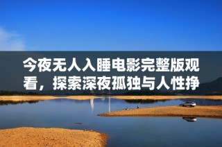 今夜无人入睡电影完整版观看，探索深夜孤独与人性挣扎的故事