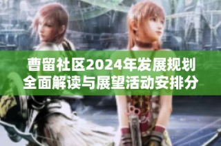 曹留社区2024年发展规划全面解读与展望活动安排分析