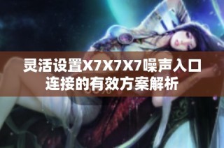灵活设置X7X7X7噪声入口连接的有效方案解析