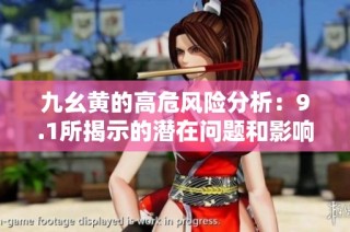 九幺黄的高危风险分析：9.1所揭示的潜在问题和影响