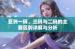 亚洲一码、三码与二码的主要区别详解与分析
