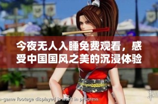 今夜无人入睡免费观看，感受中国国风之美的沉浸体验