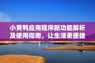 小黄鸭应用程序新功能解析及使用指南，让生活更便捷