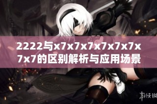 2222与x7x7x7x7x7x7x7x7的区别解析与应用场景对比