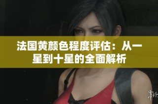 法国黄颜色程度评估：从一星到十星的全面解析