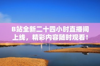 B站全新二十四小时直播间上线，精彩内容随时观看！