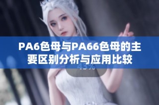 PA6色母与PA66色母的主要区别分析与应用比较