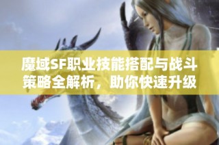 魔域SF职业技能搭配与战斗策略全解析，助你快速升级！