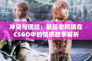 冲突与团结：暴躁老阿姨在CSGO中的情感故事解析